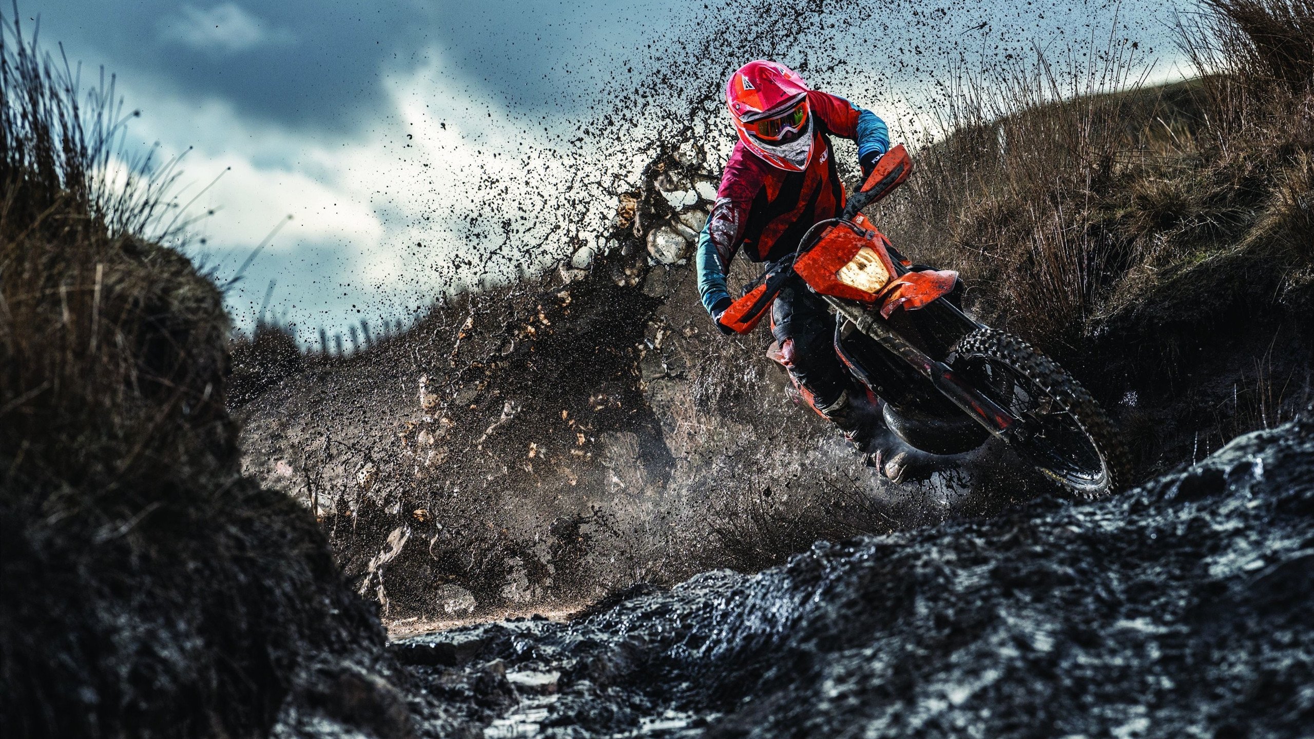 不惧强手 李冰洁游出自我节奏，不惧强敌敢较量这首歌的名是什么